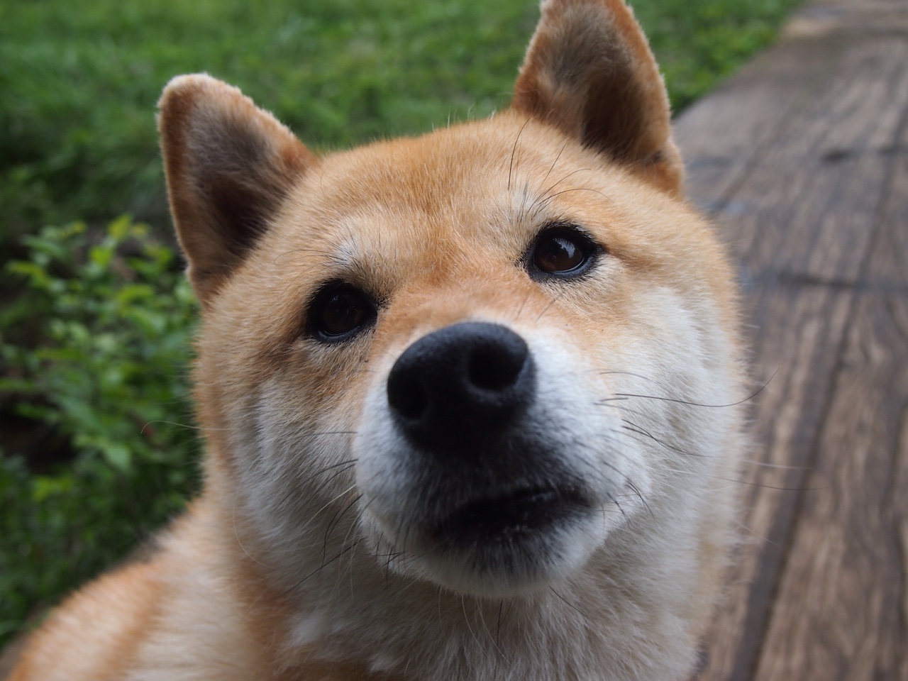 开云网页版-_马刺老将发威，精彩对抗未落下风_，马刺老大