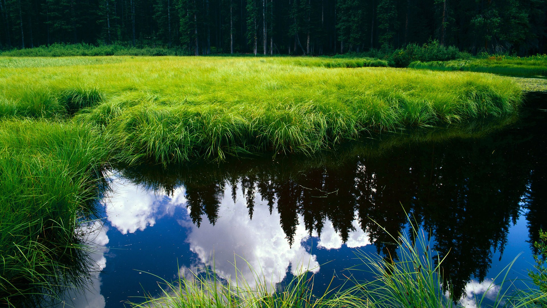 开云体育平台-各地足球特色文化节精彩纷呈，弘扬民族体育精神，足球文化节的活动主题